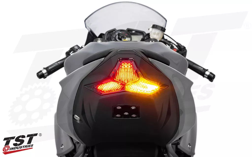IN STOCK TST Programmable and Sequential LED Integrated Tail Light for Kawasaki Ninja ZX10R 21-25 /ZX-6R 2019- 2025 2026 10361=1