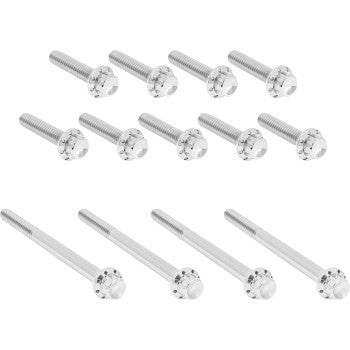 ARLEN NESS Bolt Kit - Primary Cover - Titanium - 12-Point - Twin Cam - Polished 300-989