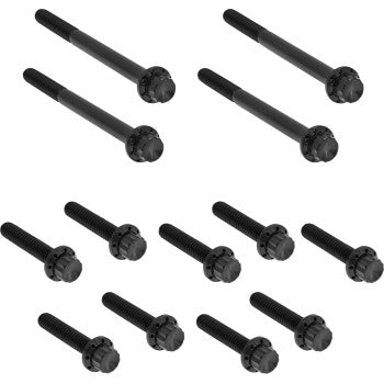 ARLEN NESS Bolt Kit - Primary Cover - Titanium - 12-Point - Softail - Black 300-930