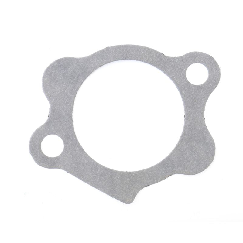 Athena Harley-Davidson Sportsters Starter Mount Gasket - Set of 10 S410195021001