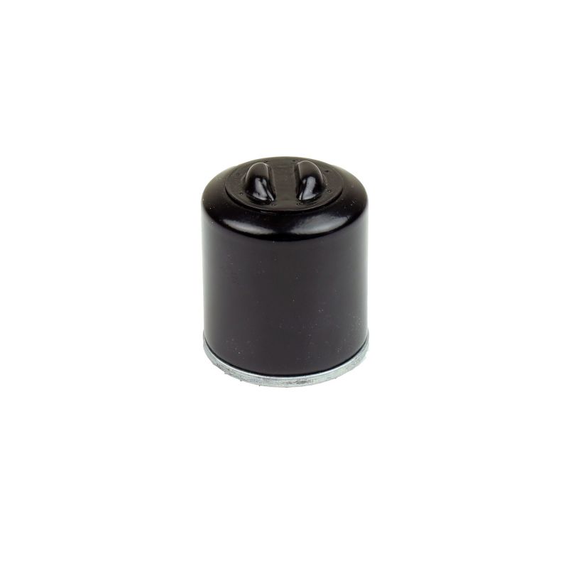 Athena 05-21 Polaris 200 Oil Filter FFP002
