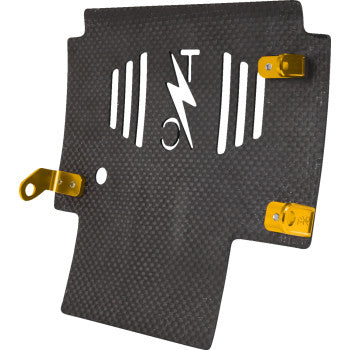 THRASHIN SUPPLY CO. Skid Plate - Carbon Fiber/Forged - With Gold Brackets - FLHX/FLTRX TSC-3035-5
