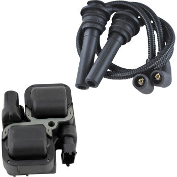 RM STATOR Ignition Coil - External - Polaris RM06055