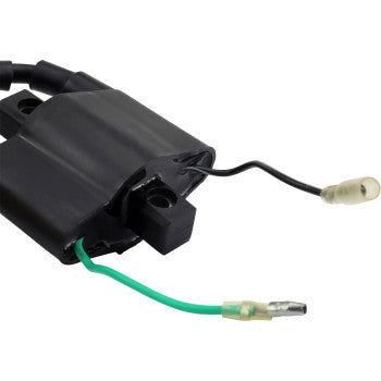 RM STATOR Ignition Coil - External - Arctic Cat RM06048