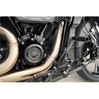ARLEN NESS Bolt Kit - Cam Cover/Point Cover - Titanium - 12-Point - Polished 300-932