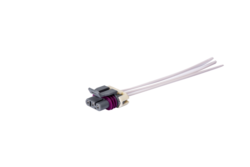 Photo - Primary