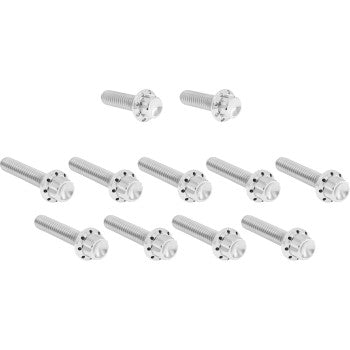 ARLEN NESS Bolt Kit - Cam Cover/Point Cover - Titanium - 12-Point - Polished 300-980
