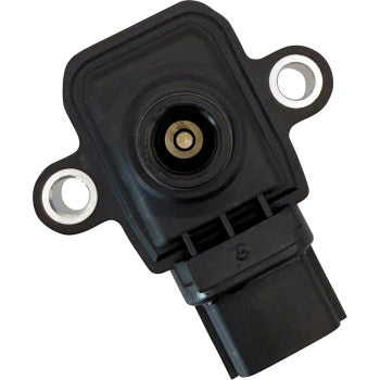 RICK'S MOTORSPORT ELECTRIC Coil Ignition Cf Moto 23-800
