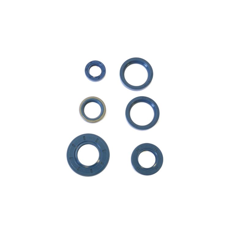 Athena 87-90 Cagiva Bifaro 750 Engine Oil Seal Kit P400090400240