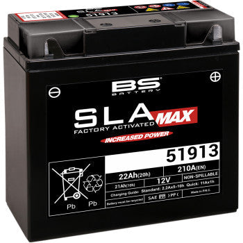 BS BATTERY Battery - 51913 300860