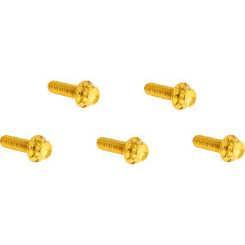 ARLEN NESS Bolt Kit - Derby Cover - 12-Point - Titanium - Gold 300-925