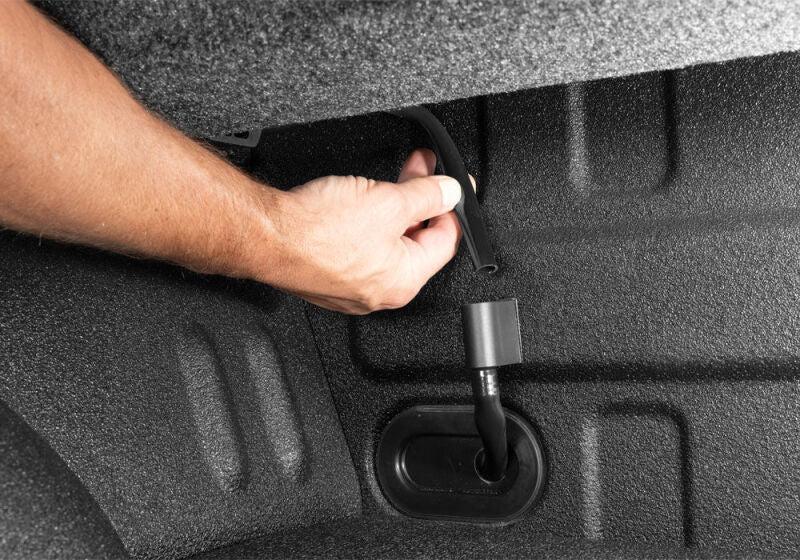 Photo - Close Up
