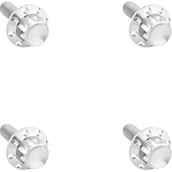 ARLEN NESS Bolt Kit - Windshield - Titanium - 12-Point - Polished 300-839