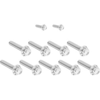 ARLEN NESS Bolt Kit - Cam Cover/Point Cover - Titanium - 12-Point - Polished 300-932