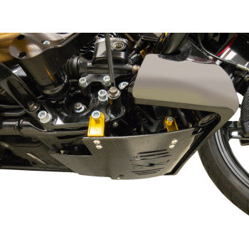 THRASHIN SUPPLY CO. Skid Plate - Carbon Fiber/Gloss - With Gold Brackets - FLHX/FLTRX TSC-3034-5