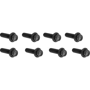 ARLEN NESS Bolt Kit - Lifter Block - 12-Point - Titanium - Black 300-936