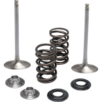 MOOSE OFFROAD Valve Kit - Intake - Suzuki 0926-3468