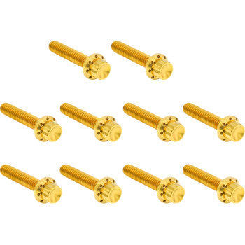 ARLEN NESS Bolt Kit - Cam Cover/Point Cover - Titanium - 12-Point - Gold 300-988