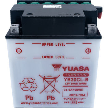 YUASA Conventional Battery YB30CL-B 12V YUAM2230CTWN
