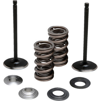 MOOSE OFFROAD Valve Kit - Intake - Yamaha 0926-3473