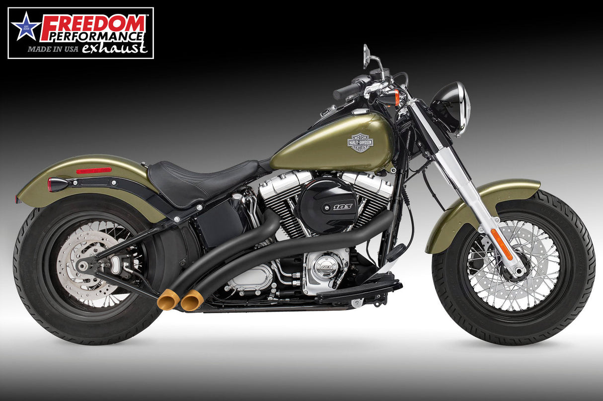 HARLEY SOFTAIL RADICAL RADIUS 1987-2017