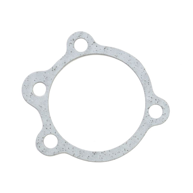 Athena Harley-Davidson Sportsters 0.030in Thick Air Cleaner To Carburetor Gasket - Set of 10 S410195093001