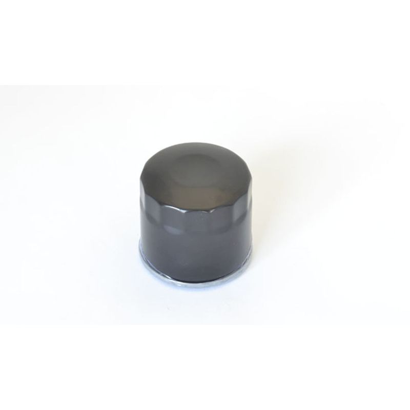 Athena 23-23 Suzuki DL V-Strom De 800 Oil Filter FFP009
