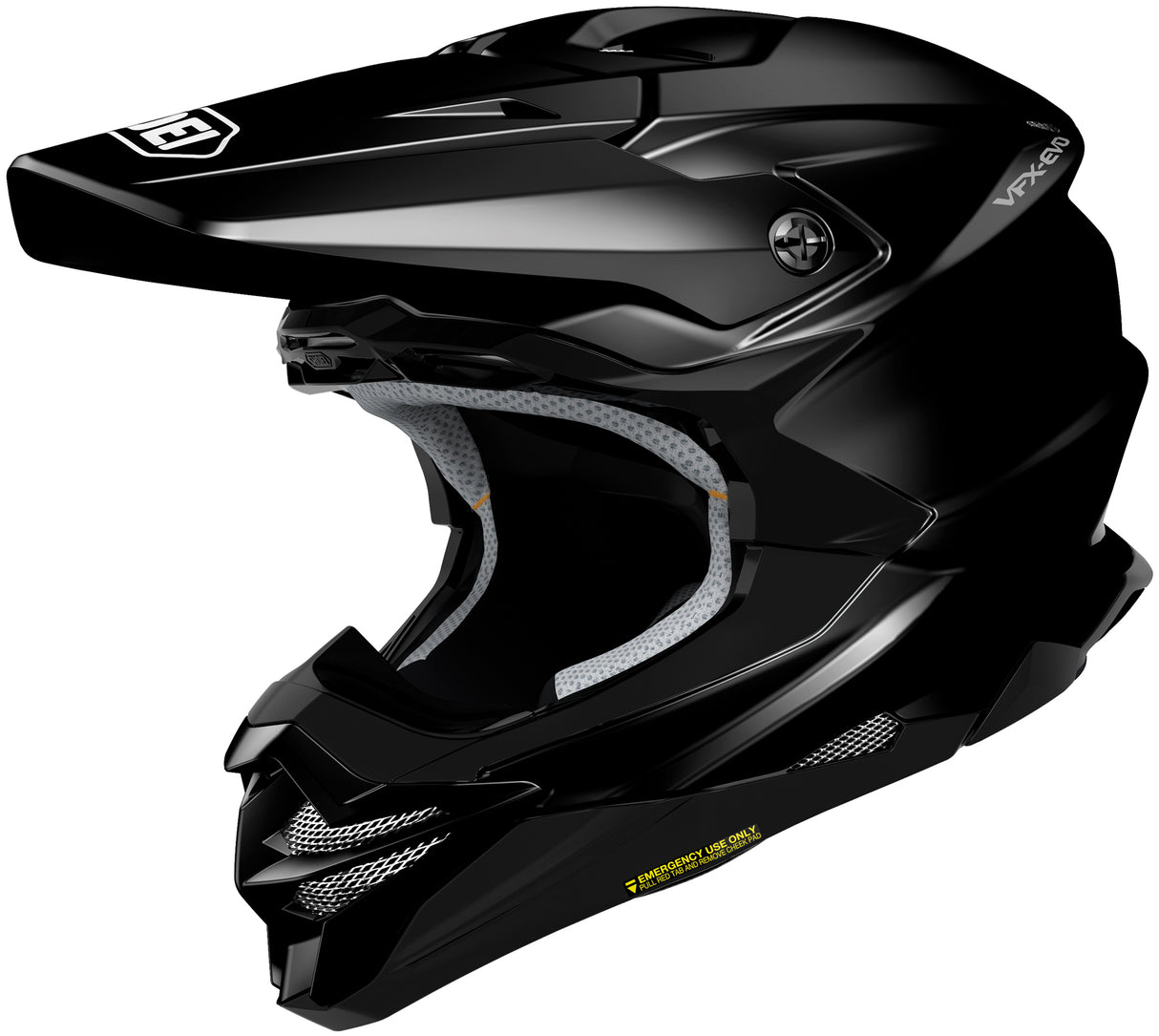 Shoei Vfx-Evo Black Lrg 146010506