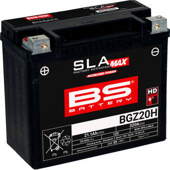BS BATTERY Battery - BGZ20H 300933