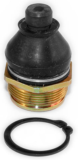 0390-5885d81176b19.jpg