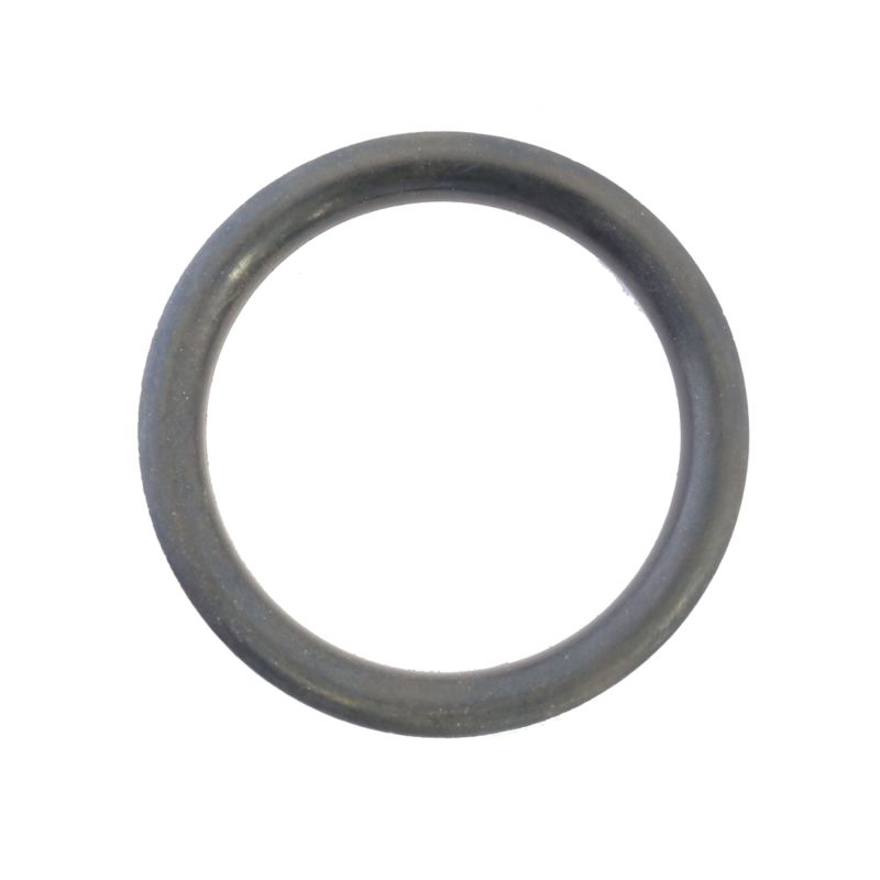 Athena Harley-Davidson Sportsters Fuel Cap O-Ring - Set of 10 S410195138001
