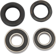 PIVOT WORKS Wheel Bearing Kit - Rear PWRWK-H18-008