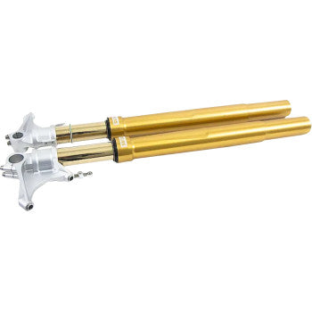 OHLINS Fork Cartridge Kit 48mm Gold Inverted Hd Cvo FGRT 308