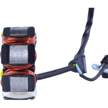 RM STATOR Derby Stator and Regulator Kit - CRF250X RMS900-104238