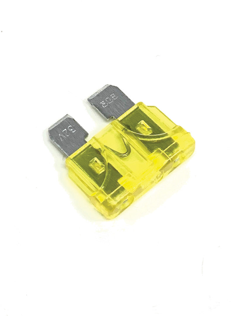 145f-600602d18aecb.jpeg