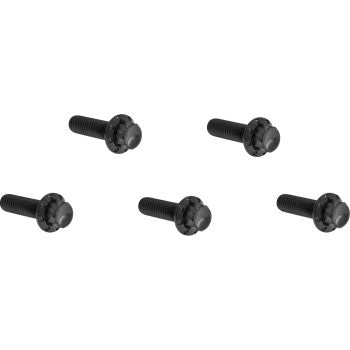 ARLEN NESS Bolt Kit - Derby Cover - 12-Point - Titanium - Black 300-939