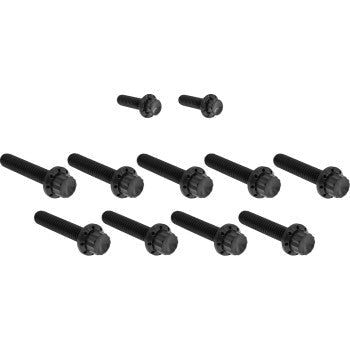 ARLEN NESS Bolt Kit - Cam Cover/Point Cover - Titanium - 12-Point - Black 300-933