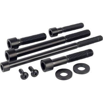 FIGURATI DESIGNS Bolt Kit - Engine - Titanium/Black - M8 FD100-M8-TBOLT-BLK