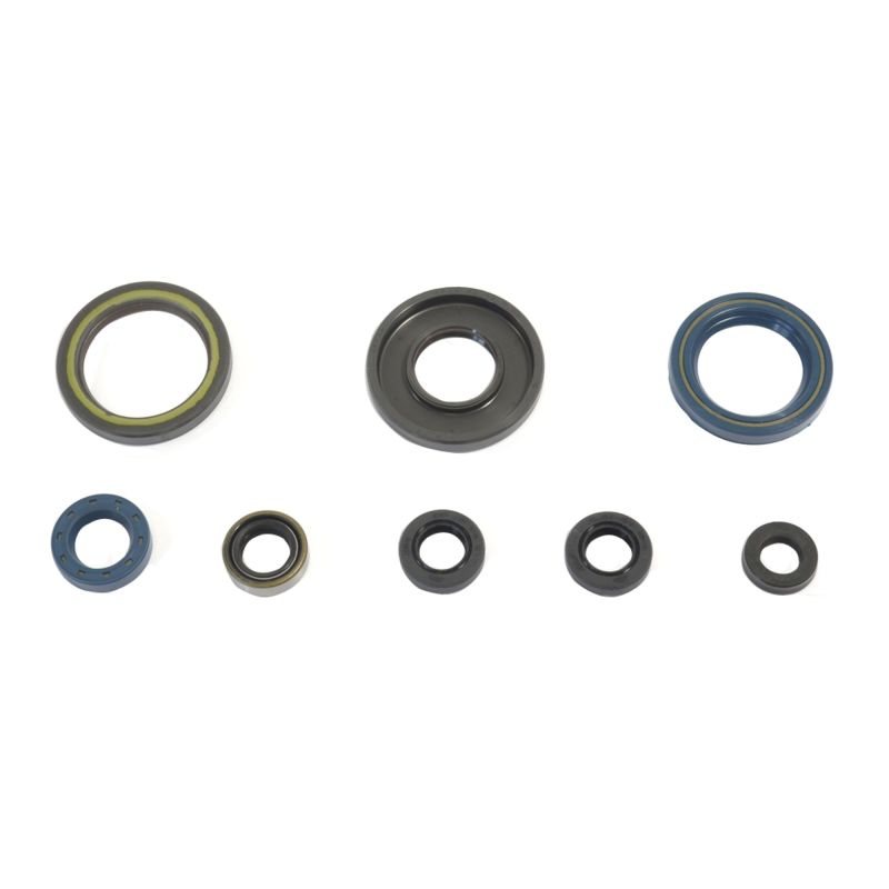 Athena 84-89 KTM 250 GS-MX Engine Oil Seal Kit P400270400033