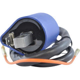 RM STATOR Ignition Coil - External RM06007