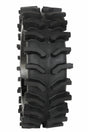 2819-65cfe1463c82d.jpeg