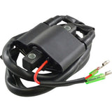 RM STATOR Ignition Coil - External - Arctic Cat RM06061