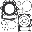 2aa5-61e203c97c40f.jpg