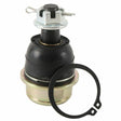 2adf-637d1bc0aa576.jpg