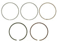 2fda-5e99ca8695251.jpg