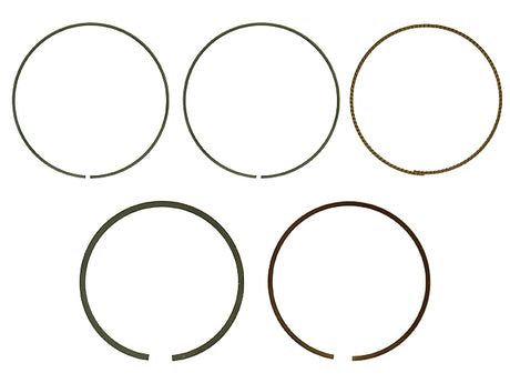 2fda-5e99ca8695251.jpg