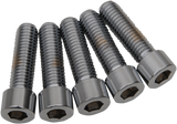 DRAG SPECIALTIES Bolts - Socket-Head - Smooth - 1/2" x 13 x 2" MPB696S
