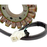 RICK'S MOTORSPORT ELECTRIC Stator Suzuki 21-340