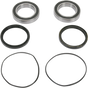 PIVOT WORKS Wheel Bearing Kit - Rear PWRWK-H10-420