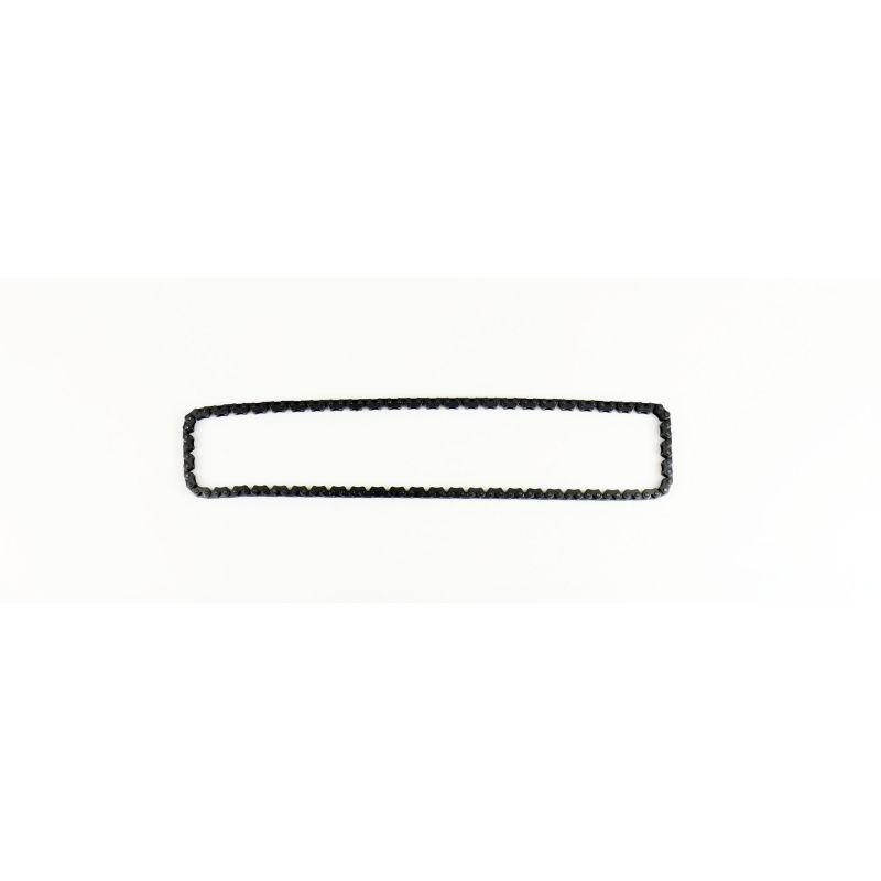 Athena 10-15 Gasgas EC F 250 Timing Chain S41400003